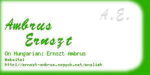 ambrus ernszt business card